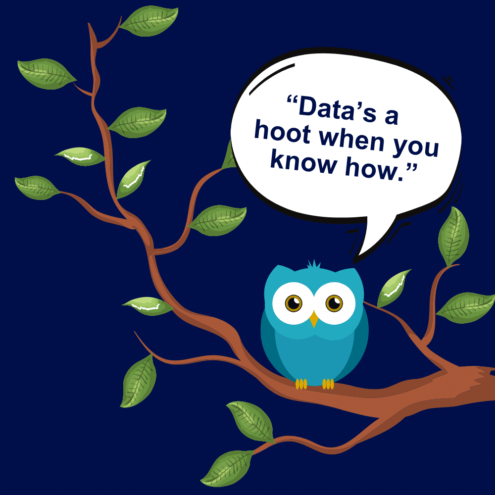 A cartoon owl sitting on a tree branch with a speech bubble saying, ‘Data’s a hoot when you know how.’ on a dark blue background.