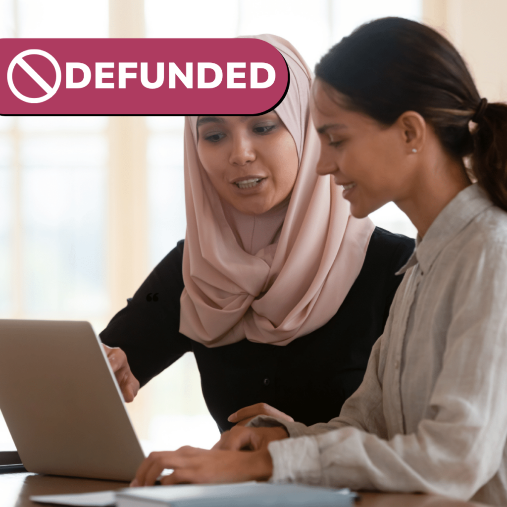 Defunded Learning & Skills Mentor Level 4